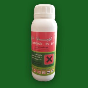 لمبادا 5 % ( 500ملل)