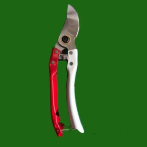 مقص عقلة صينى